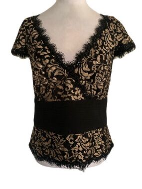 Tadashi Shoji Size 10 Black Champagne Eyelash Lace-Trim V-Neck Embellished Top